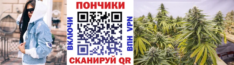 гидра рабочий сайт Таштагол Шишки марихуана конопля